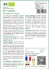 SAFLAX  -- Persil plat - 600 graines - Petroselinum Voir les images du produit 3