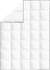 vidaXL Zimní péřová přikrývka 2 ks 155x220 cm Náhled obrázku produktu 1