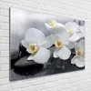 Tulup® Glas-Bild - 100 x 70 - Wandbild aus Glas - Wandkunst Produktbild-Vorschau 2