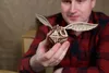 A person is holding a wooden model of a Golden Snitch from Harry Potter. Náhled obrázku produktu