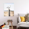 ARTland Poster Möwe Größe: 30x40 cm Produktbild-Vorschau 5