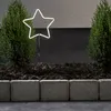 A white LED star light is placed in a garden bed between two evergreen bushes, with concrete blocks forming a border. Podgląd zdjęcia produktu