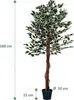 PLANTASIA Sztuczne drzewo figowe, 160 cm Podgląd zdjęcia produktu 2