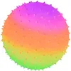 ENERO Palla in vinile Riccio Rainbow 23 cm 90 g Palla da Anteprima dell’immagine prodotto 1