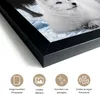 MuchoWow® MuchoWow® Gerahmtes Poster Tiere - Große Fünf - Produktbild-Vorschau 3