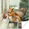 MuchoWow® Poster Eichhörnchen - Fenster - Herbst - Produktbild-Vorschau 1
