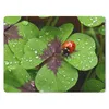 MuchoWow® Mauspad Mousepad Marienkäfer auf einem Produktbild-Vorschau 1
