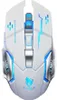 Thunderwolf Q13 kabellose Maus, Dual-Mode-Verbindung | Produktbild-Vorschau 1