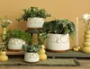 Blumentopf mit Gesicht und Brille, in zwei Farben und 4 Produktbild-Vorschau 4