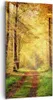 Bild auf Leinwand - Leinwandbild - Wald Baum Natur - Produktbild-Vorschau 1