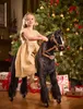 Cavallo meccanico da equitazione Ponnie Ebony M Anteprima dell’immagine prodotto 18
