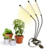 A plant grow light with three adjustable LED heads is positioned next to several potted plants on a white background. Anteprima dell’immagine prodotto