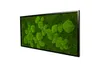 Moosbild 110x55cm 50% Flachmoos/ 50%Kugelmoos (schwarz) Produktbild-Vorschau 2