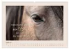 Pferdepoesie - Augenblicke voller Seele (Wandkalender 2027 Produktbild-Vorschau 7