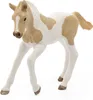Schleich Paint Horse Fohlen, 13886 Produktbild-Vorschau 4