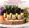 com-four® 10x duftende Öle im Set - Raumduft Sommertraum - Produktbild-Vorschau 3