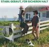 A couple and their dog are enjoying a day by the sea near a lighthouse and a house, with a wooden fence in the foreground. Produktbild-Vorschau