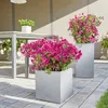Lechuza Canto Stone plastový květináč 30x30x30 cm šedý Náhled obrázku produktu 34