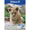 10 Blatt je Block Zeichenblock Pelikan A4, 4Block Produktbild-Vorschau 12