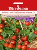 Balkon- und Topftomate Donna F1 | Tomatensamen von Dürr Produktbild-Vorschau 3