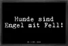 Mr. & Mrs. Panda Sauberlaufmatte Hunde sind Engel mit... 40 Produktbild-Vorschau 1