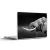 MuchoWow® Laptop Aufkleber Sticker Cover Elefant - Wasser - Produktbild-Vorschau 1
