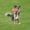 Frisbee per cani in gomma Vivifying, 2 pezzi 18 cm, Anteprima dell’immagine prodotto 7