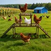 WISFOR Kippenren, klimrek, kippenhok, kippenladder, Productafbeelding-voorbeeld 13