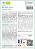SAFLAX Ensemble-cadeau -- Radis - Daïkon - 100 graines - Voir les images du produit 3