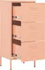 vidaXL Armoire de stockage rose 42,5x35x101,5 cm Acier Voir les images du produit 6