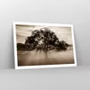 Poster - Poster ohne Rahmen - Baum Feld Natur - 91,5x61 cm Produktbild-Vorschau 7