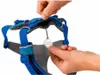Ruffwear Front Range Harness Hundegeschirr, Farbe:Coastal Produktbild-Vorschau 11