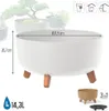 Blumentopf auf Beinen GRACIA LOW DGRL400L | Weiß Produktbild-Vorschau 13