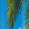Relaxdays Duschvorhang Tropical, Bad Vorhang 180x200, Produktbild-Vorschau 6