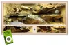 Repiterra® Terrarium für Schildkröten Holzterrarium OSB Produktbild-Vorschau 2