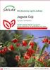SAFLAX - Jagoda Goji - 200 Nasiona - Lycium chinensis Podgląd zdjęcia produktu 1