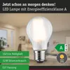 Paulmann Eco-Line Filament 230V LED Birne Einzelleuchte Produktbild-Vorschau 4