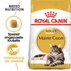Royal Canin Feline Maine Coon - 4 kg Voir les images du produit 2