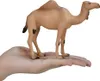 Mojo 387113 Animal Planet Dromedario circa 14 x 3,5 x 12 cm Anteprima dell’immagine prodotto 3