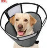 Hundehalskrause XXL,Graue Produktbild-Vorschau 1