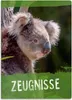 itenga Zeugnismappe A4 Kunststoff Sichtbuch Motiv Koala Produktbild-Vorschau 1