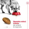 Royal Canin Maxi Adult - 15 kg Produktbild-Vorschau 10