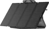 EcoFlow 160W - Pannello solare pieghevole Anteprima dell’immagine prodotto 29