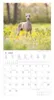 Alpha Edition - Welpen Kalender 2026 - Wandkalender 30x30 Produktbild-Vorschau 9