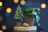 A small decorative Christmas tree and a potted plant are displayed on a wooden stand, with bokeh lights in the background. Produktbild-Vorschau