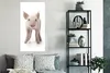 MuchoWow® Poster Schwein - Tiere - Weiß 60x120 cm - Produktbild-Vorschau 4