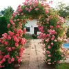 Pergola metalowa, brama ogrodowa, łuk na kwiaty, róże, Podgląd zdjęcia produktu 5