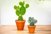 Gardners Opuntia, průměr 6 cm Náhled obrázku produktu 3