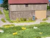 NOCH Grasbüschel “Wildblumen”, Mehrfarbig Produktbild-Vorschau 2