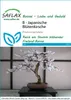 SAFLAX  - Cerisier du Japon - 30 graines - Prunus Voir les images du produit 5